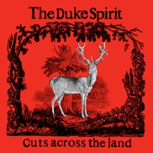 Album « by The Duke Spirit
