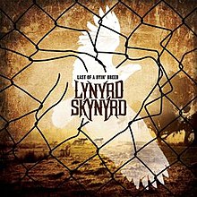 Album « by Lynyrd Skynyrd