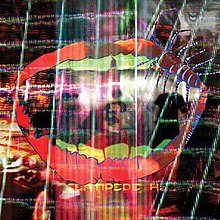 Album « by Animal Collective