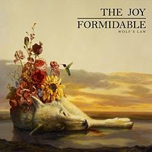 Album « by The Joy Formidable