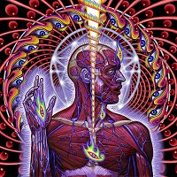 Album « by Tool